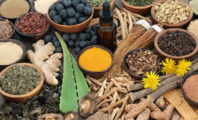 Adaptogenic food collection with herbs, spices, fruit, essential oil and supplement powders. Used in herbal medicine to help the body resist the damaging effect of stress and restore normal physiological functioning.