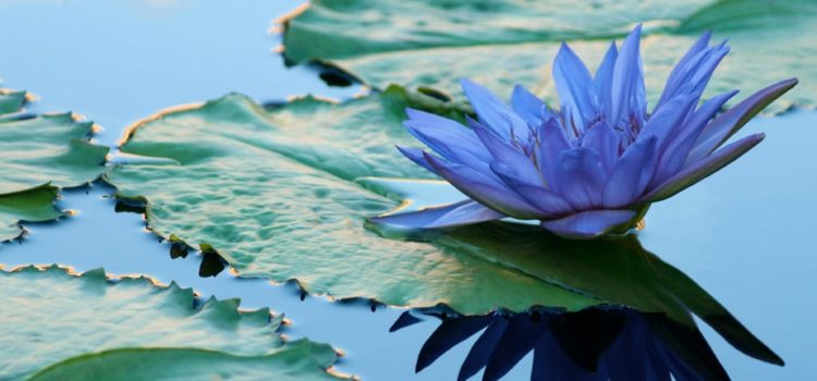 Extended wellness hours in 2019 Extended wellness hours in 2019