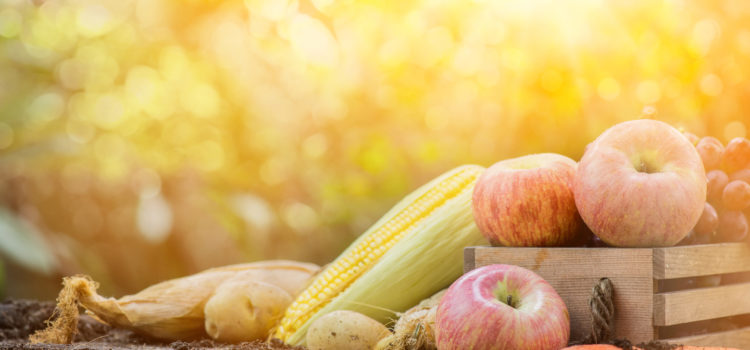 Healthy tips for the Vata season of fall