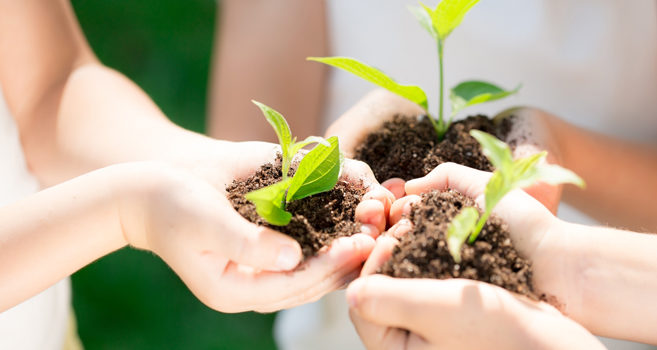 Free Webinar: Ayurvedic Wisdom for Global Health Free Webinar: Ayurvedic Wisdom for Global Health