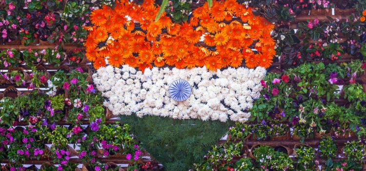 Healing Meditation for India Healing Meditation for India