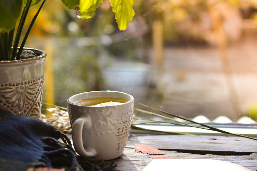 Ayurvedic Fall Cleanse