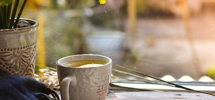 What to expect in our seasonal fall cleanse Ayurvedic Fall Cleanse