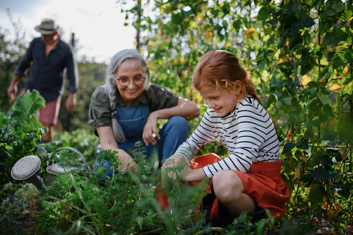 Grandmother with granddaughter working in garden together.